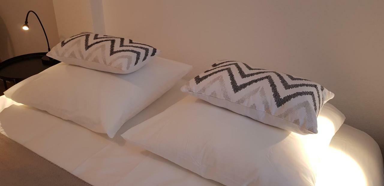 Le Voltaire Colmar Centre Apartment Ngoại thất bức ảnh